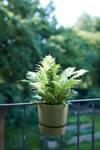 greenville easy hanger single leaf green